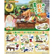 画像をギャラリービューアに読み込む, 【コンプリートBOX】【予約】 リーメント ぷちサンプルシリーズ おいしい野菜の育てかた 1BOX H115mm×W70mm×D60mm ATBC-PVC