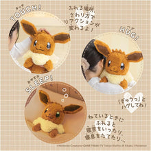 画像をギャラリービューアに読み込む, 【新品】 ポケットモンスター おうちにポケモン EIEVUI 佐賀