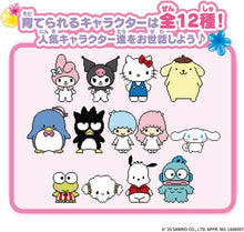画像をギャラリービューアに読み込む, 【新品】 ぽけっとルーム サンリオキャラクターズ ストロベリースイート 佐賀