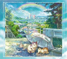 画像をギャラリービューアに読み込む, 【新品】 アイムユアヒーロー 初回限定盤B DVD付 CD After the Rain 倉庫