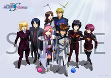 画像をギャラリービューアに読み込む, 【特典付DVD/新品】 機動戦士ガンダムSEED FREEDOM DVD