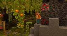 画像をギャラリービューアに読み込む, 【予約】 Minecraft Nintendo Switch 2