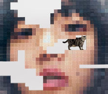 画像をギャラリービューアに読み込む, 【新品】 猫にジェラシー 初回限定Blu-ray盤 CD あいみょん 佐賀/