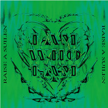 画像をギャラリービューアに読み込む, 【オリ特付】【予約】 I AM WHO I AM【通常盤】 CD RAISE A SUILEN