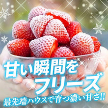 画像をギャラリービューアに読み込む, 【きやま通販】 【農場直送】完熟冷凍いちご 約1kg ヘタなし 自社農場直送 完熟 いちご 冷凍 フルーツ ジャム トッピング アイス フルーツ 果物 佐賀県基山町
