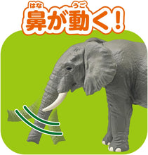 画像をギャラリービューアに読み込む, 【新品】 アニア AL-26 アフリカゾウ 佐賀
