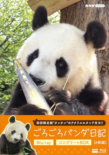 Castleさん予約品 CASTELBAJAC（カステルバジャック） セカンドバッグ クラッチバッグ