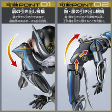 画像をギャラリービューアに読み込む, 【予約】 仮面ライダーマイス TAF 仮面ライダーマイス&amp;マイスシードエグズ
