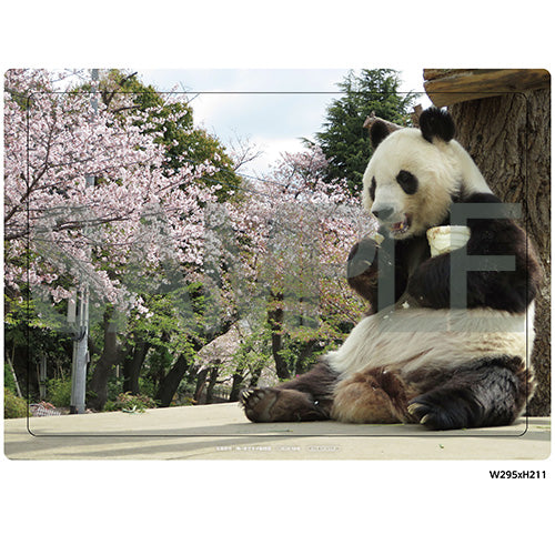 オリ特付】【DVD】【新品】 ごろごろパンダ日記 DVD BOX 全4枚(初回