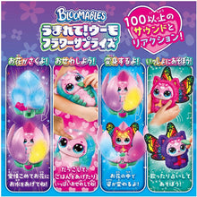 画像をギャラリービューアに読み込む, 【新品】 うまれて！ウーモ フラワーサプライズ キティーフライ 佐賀
