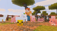 画像をギャラリービューアに読み込む, 【予約】 Minecraft Nintendo Switch 2
