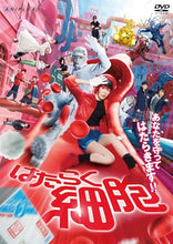 画像をギャラリービューアに読み込む, 【DVD】【新品】 はたらく細胞(通常版) DVD 永野芽郁/佐藤健 佐賀/
