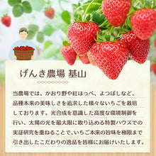 画像をギャラリービューアに読み込む, 【きやま通販】 【農場直送】完熟冷凍いちご 約1kg ヘタなし 自社農場直送 完熟 いちご 冷凍 フルーツ ジャム トッピング アイス フルーツ 果物 佐賀県基山町
